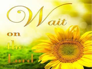 Psalm 27:14 Wait On The Lord (yellow)